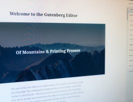Gutenberg und die Page Builder in WordPress